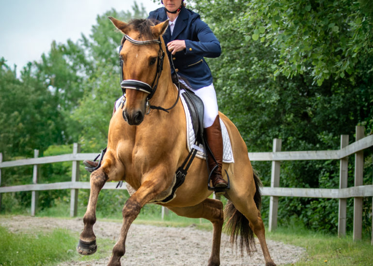 DSC_6003 (2)-bewerkt